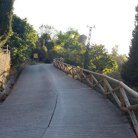 Alojamiento Rural La Casilla 카졸라 외부 사진